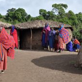  Ngorongoro Crater, TZ